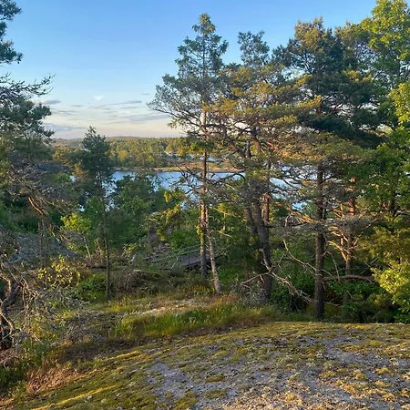 Modern House At Rossesund 度假居