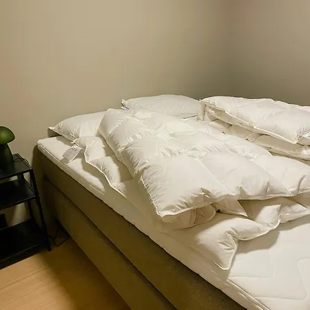 度假居 Modern House At Rossesund 肖姆